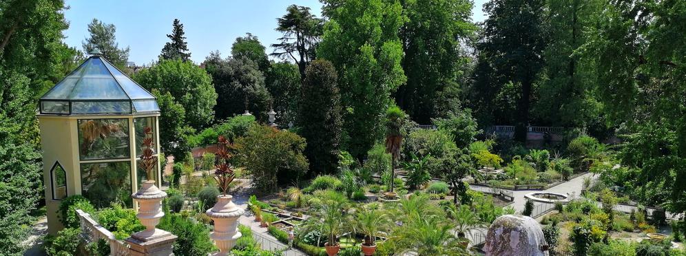 The University of Padua Botanical Garden will reopen. | OrtoBotanico di
